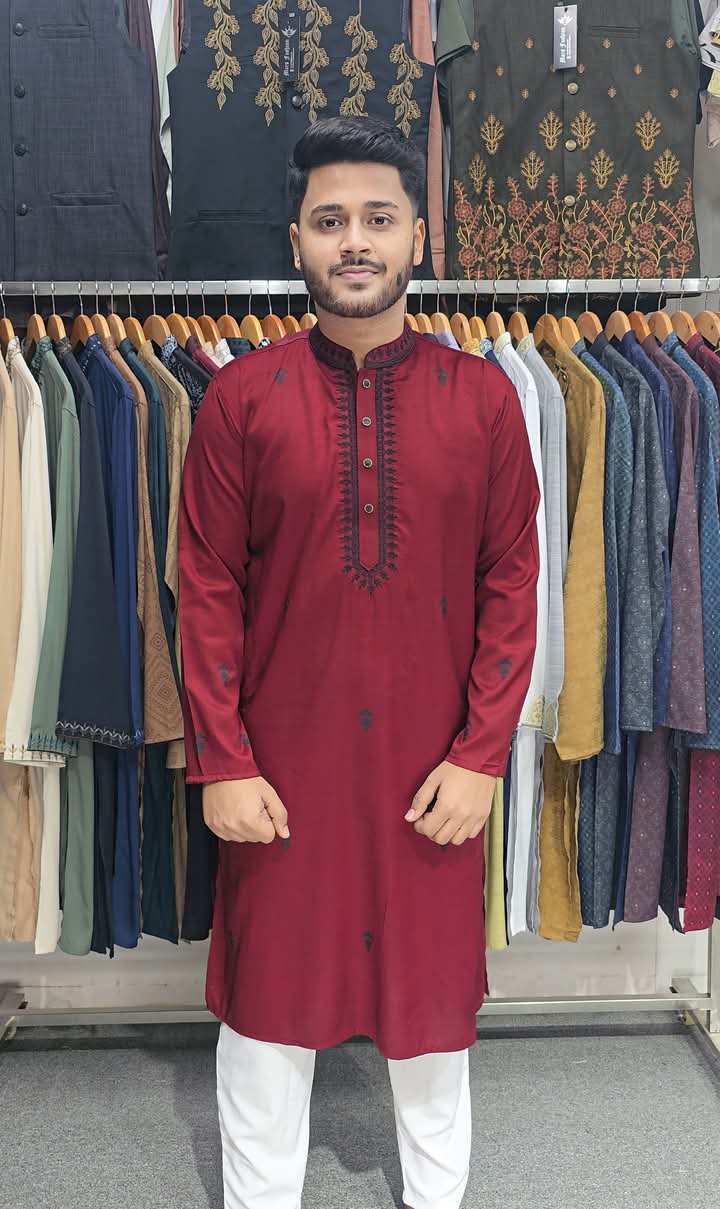 Embroidery+Print Solid Punjabi-1