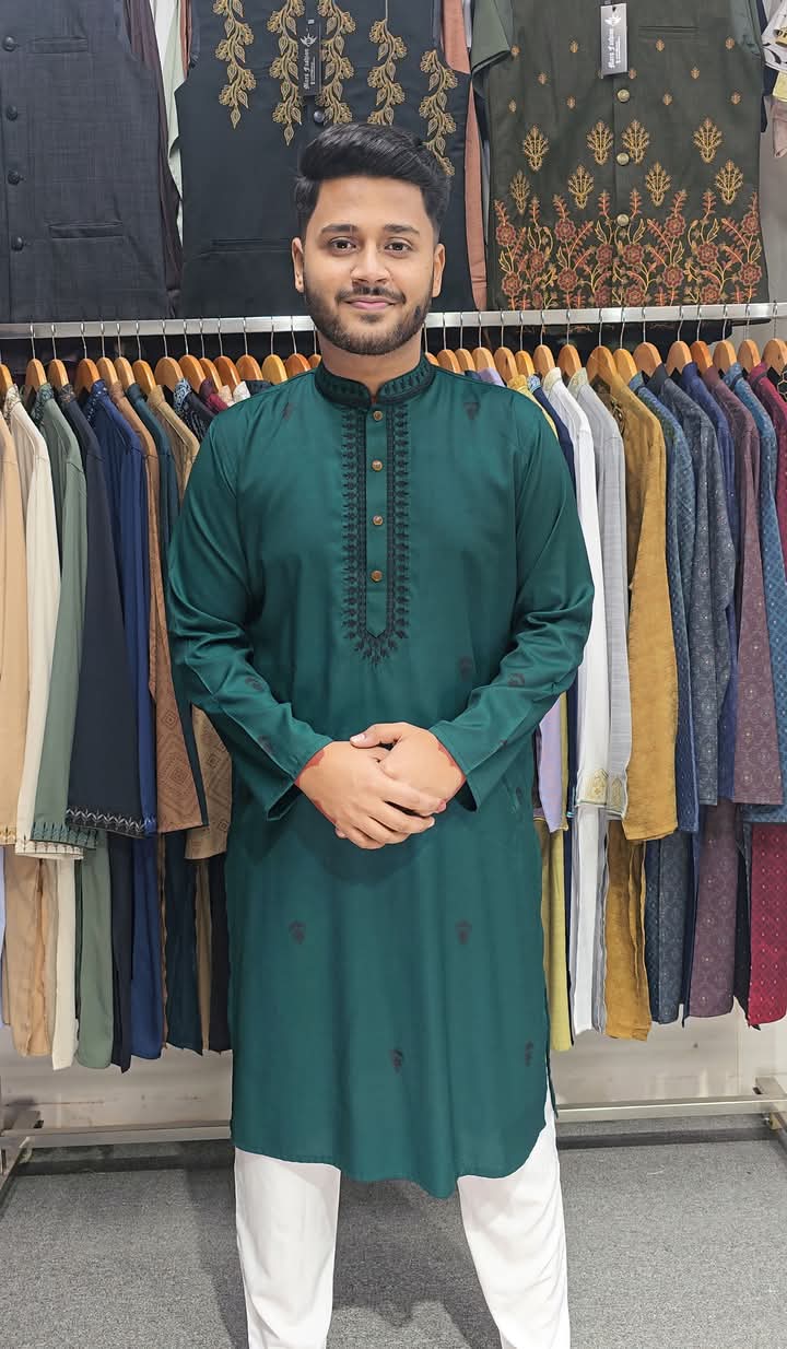 Embroidery+Print Solid Punjabi-2