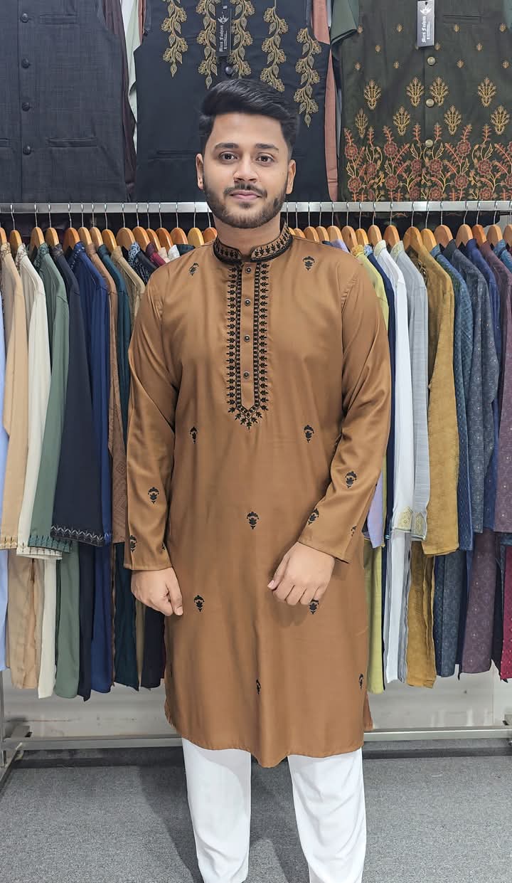 Embroidery+Print Solid Punjabi-3