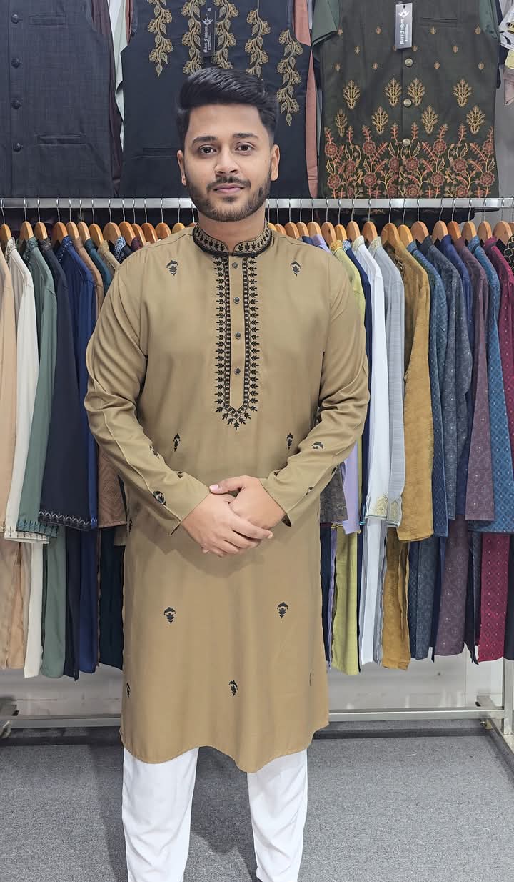 Embroidery+Print Solid Punjabi-6