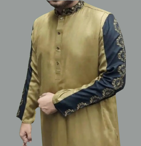 Embroidery sleeve Contrast Punjabi-5