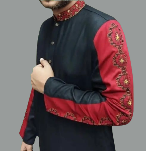 Embroidery sleeve Contrast Punjabi-6